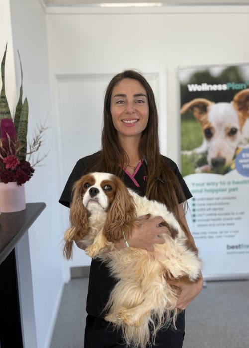 Dr Nicole